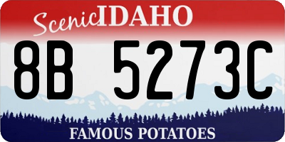 ID license plate 8B5273C