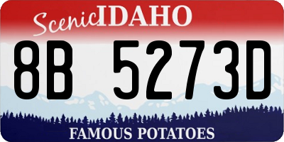 ID license plate 8B5273D