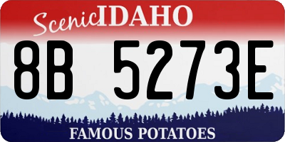 ID license plate 8B5273E