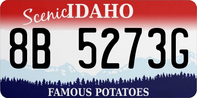 ID license plate 8B5273G