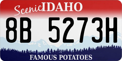 ID license plate 8B5273H