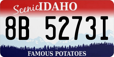 ID license plate 8B5273I