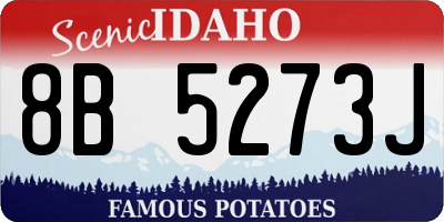 ID license plate 8B5273J
