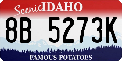 ID license plate 8B5273K