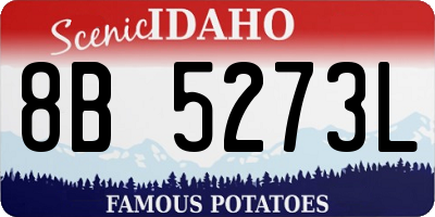ID license plate 8B5273L