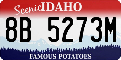 ID license plate 8B5273M