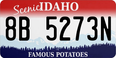 ID license plate 8B5273N