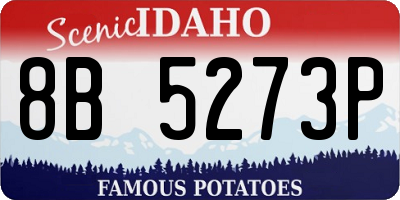 ID license plate 8B5273P
