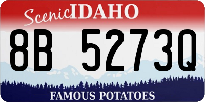 ID license plate 8B5273Q