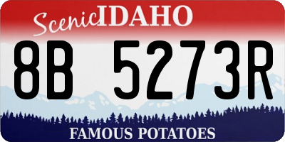 ID license plate 8B5273R