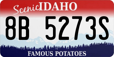 ID license plate 8B5273S