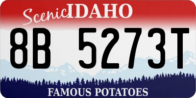 ID license plate 8B5273T