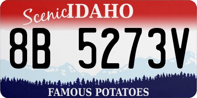 ID license plate 8B5273V