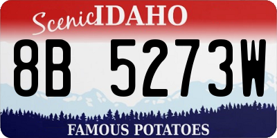 ID license plate 8B5273W