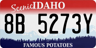 ID license plate 8B5273Y