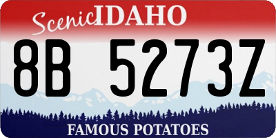 ID license plate 8B5273Z