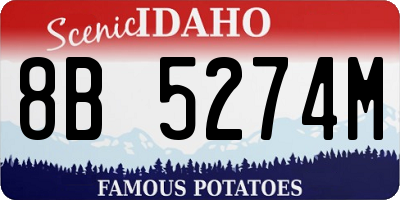 ID license plate 8B5274M