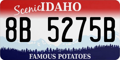 ID license plate 8B5275B