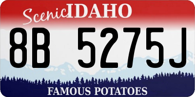 ID license plate 8B5275J
