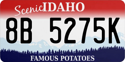 ID license plate 8B5275K