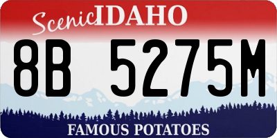 ID license plate 8B5275M