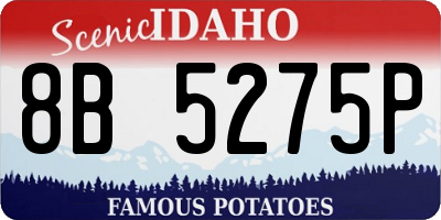 ID license plate 8B5275P