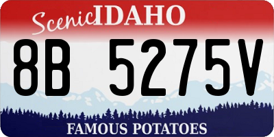 ID license plate 8B5275V