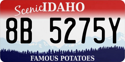 ID license plate 8B5275Y