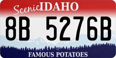 ID license plate 8B5276B