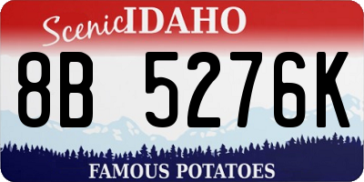 ID license plate 8B5276K