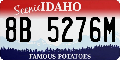 ID license plate 8B5276M