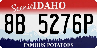 ID license plate 8B5276P