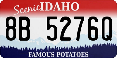 ID license plate 8B5276Q