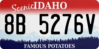 ID license plate 8B5276V