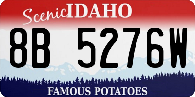 ID license plate 8B5276W