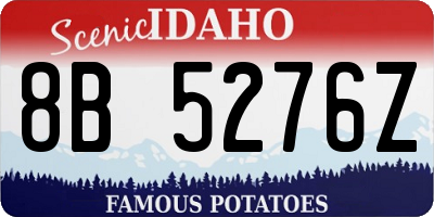 ID license plate 8B5276Z