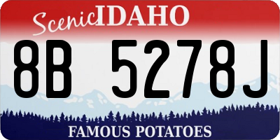 ID license plate 8B5278J