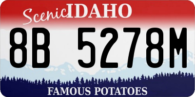 ID license plate 8B5278M