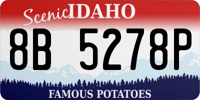 ID license plate 8B5278P
