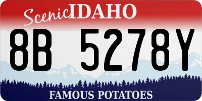ID license plate 8B5278Y