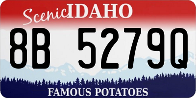 ID license plate 8B5279Q