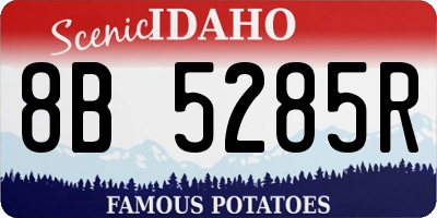 ID license plate 8B5285R
