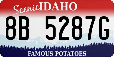 ID license plate 8B5287G