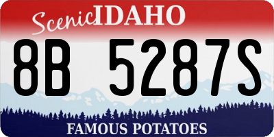 ID license plate 8B5287S