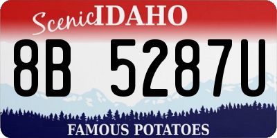 ID license plate 8B5287U