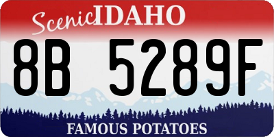 ID license plate 8B5289F