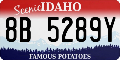 ID license plate 8B5289Y