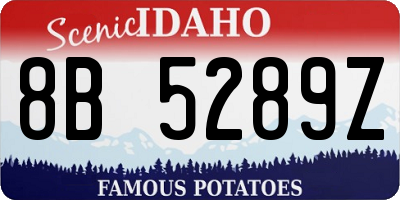 ID license plate 8B5289Z