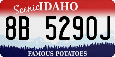 ID license plate 8B5290J