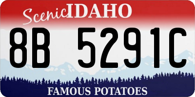 ID license plate 8B5291C